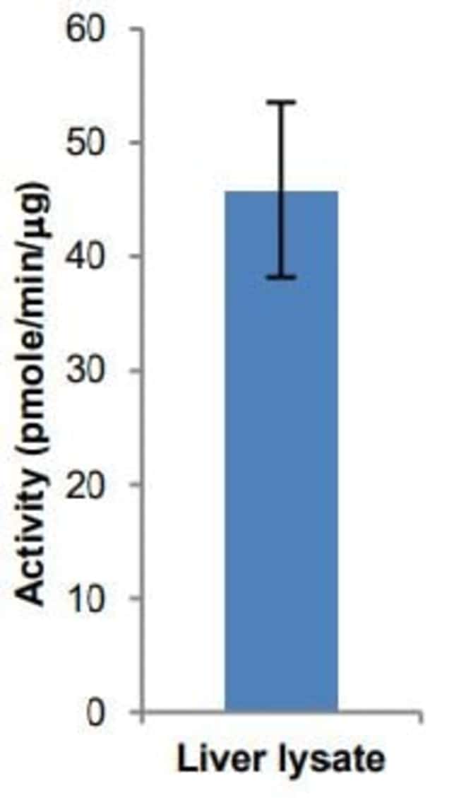 Abcam AcylCoA Synthetase Assay Kit (Fluorometric) 100test Fisher