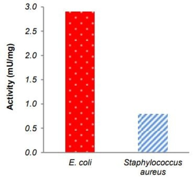 Abcam Maltose Phosphorylase Activity Kit (Fluorometric) 100test