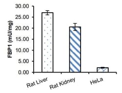 Abcam Fructose-1,6-Bisphosphatase Activity Assay Kit (Colorimetric), Quantity: