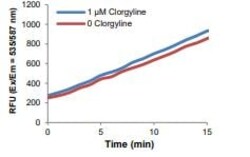 Abcam Monoamine Oxidase A (MAO-A) Inhibitor Screening Kit (Fluorometric),