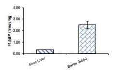 Abcam Fructose-1,6-Bisphosphate Assay Kit (Fluorometic), Quantity: Each