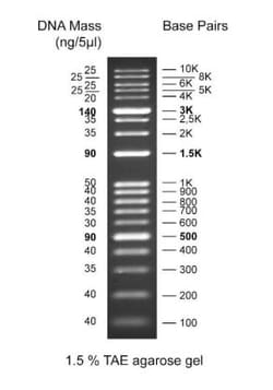 Abcam 1 kb DNA Ladder, 500UL