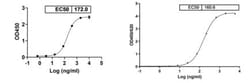 Abcam Human monoclonal [S309] to SARS-CoV-2 Spike Glycoprotein S1 - BSA
