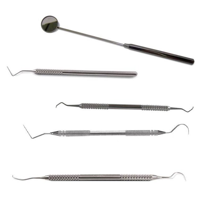 Med Vet International 5pc. Prophylaxis Dental Kit, Quantity Each of 1