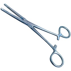 Med Vet International&nbsp;Carmalt Forceps, Economy., Straight, 6 1/4