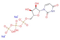 eMolecules​ Uridine-5'-triphosphate disodium salt | 285978-18-9 | MFCD11101450 | 5g
