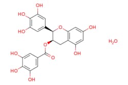 eMolecules​ (-)-Epigallocatechin gallate hydrate | | MFCD09037364 | 1g,