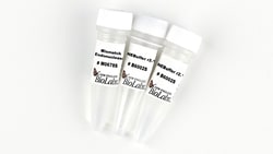 New England Biolabs, Inc. Mismatch Endonuclease I-4000 units, Quantity: