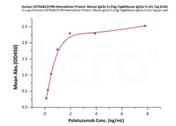 ACROBiosystems Human CD79A&CD79B Heterodimer Protein, Mouse IgG2a Fc,Flag