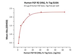 ACROBiosystems Human FGF R2 (IIIb), Fc Tag (FGB-H5256) is expressed from