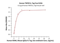 ACROBiosystems Human TNFSF11, Tag Free (RAL-H5217) is expressed from human