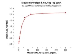 ACROBiosystems Mouse CD40 Ligand, His,Flag Tag (CDL-M52D5) is expressed