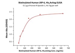 ACROBiosystems Biotinylated Human LRP-6, His,Avitag (LR6-H82E7) is expressed