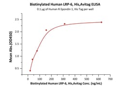 ACROBiosystems Biotinylated Human LRP-6, His,Avitag (LR6-H82E7) is expressed
