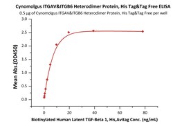 ACROBiosystems Cynomolgus ITGAV&ITGB6 Heterodimer Protein, His Tag&Tag