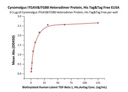 ACROBiosystems Cynomolgus ITGAV&ITGB8 Heterodimer Protein, His Tag&Tag