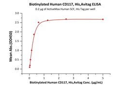 ACROBiosystems Biotinylated Human CD117, His,Avitag (CD7-H82E6) is expressed