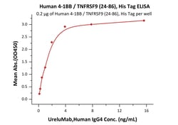 ACROBiosystems Human 4-1BB / TNFRSF9 (24-86), His Tag (41B-H52H9) is expressed