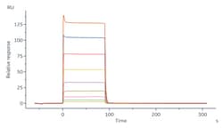 ACROBiosystems Biotinylated Human CD32a (H167R), His,Avitag (CDA-H82E5)
