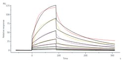 ACROBiosystems Biotinylated Human IL-13 R alpha 1 Protein, His,Avitag (IL1-H82E8)