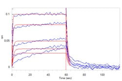ACROBiosystems Human CD131, Fc Tag (CD1-H5256) is expressed from human