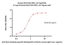 ACROBiosystems Human DLL3 (312-492) , His Tag (DL3-H52Hz) is expressed