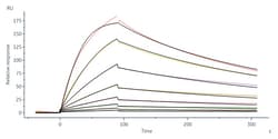 ACROBiosystems Biotinylated Human IGF-I, His,Avitag (IG1-H82Q6) is expressed