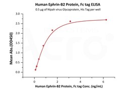 ACROBiosystems Human Ephrin-B2 / EFNB2 Protein, Fc tag (EPN-H5259) is expressed