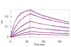 ACROBiosystems The mouse monoclonal antibody is produced from a hybridoma