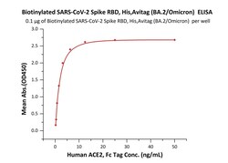 ACROBiosystems Biotinylated SARS-CoV-2 Spike RBD, His,Avitag (BA.2/Omicron)