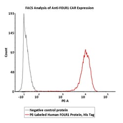 ACROBiosystems PE-Labeled Human FOLR1, His Tag (FO1-HP2H9) is produced