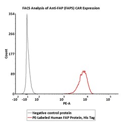 ACROBiosystems PE-Labeled Human FAP, His Tag (FAP-HP245) is produced via