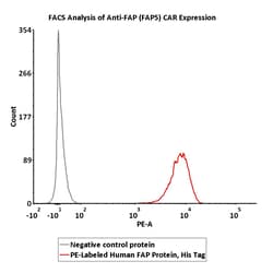 ACROBiosystems PE-Labeled Human FAP, His Tag (FAP-HP245) is produced via