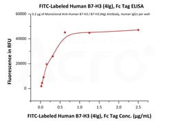 ACROBiosystems FITC-Labeled Human B7-H3 (4Ig), Fc Tag (B7B-HF2F4) is expressed