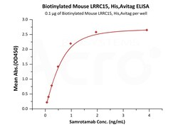 ACROBiosystems Biotinylated Mouse LRRC15, His,Avitag (LR5-M82E6) is expressed