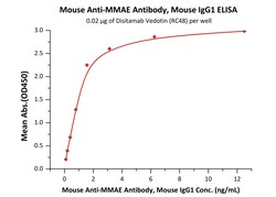 ACROBiosystems Monoclonal Anti-MMAE Antibody, Mouse IgG1 (MME-M5252) is