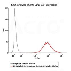 ACROBiosystems PE-Labeled Recombinant Protein L, His Tag (RPL-PP2H2) is