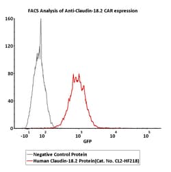 ACROBiosystems Fluorescent Human Claudin-18.2 Full Length Protein-VLP (CL2-HF218)