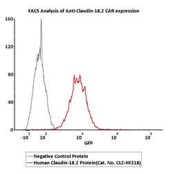 ACROBiosystems Fluorescent Human Claudin-18.2 Full Length Protein-VLP (CL2-HF218)
