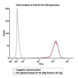 ACROBiosystems PE-Labeled Human B7-H3 (4Ig), His Tag (B7B-HP2H9) is produced
