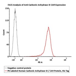 ACROBiosystems PE-Labeled Human Carbonic Anhydrase IX (38-414), His Tag