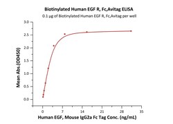 ACROBiosystems Biotinylated Human EGF R, Fc,Avitag (EGR-H82F8) is expressed