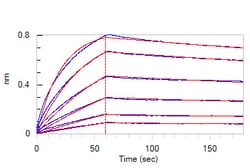 ACROBiosystems Human BTLA (31-150), His Tag (BTA-H52H3) is expressed from