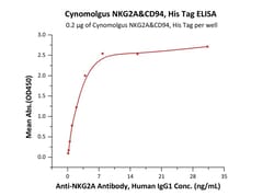 ACROBiosystems Cynomolgus NKG2A&CD94, His Tag (NC4-C52H6) is expressed