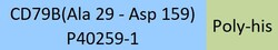 ACROBiosystems PE-Labeled Human CD79B, His Tag (CDB-HP2H6) is expressed