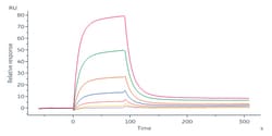 ACROBiosystems Human Cadherin-17, His Tag (CA7-H52H3) is expressed from