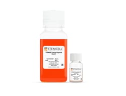 STEMCELL Technologies STEMdiff Choroid Plexus Organoid Maturation Kit,