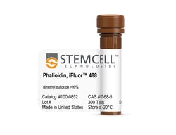 STEMCELL Technologies&nbsp;Phalloidin, iFluor&trade; 488, Size: 300 Tests