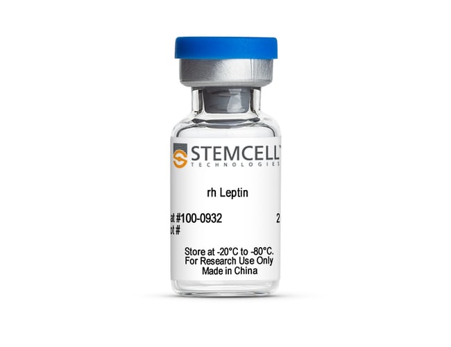 Stemcell Technologies Inc Human Leptin, Size 2 mg, Quantity Fisher Scientific