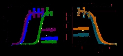 Indigo Biosciences Human Peroxisome Proliferator-Activated Receptor delta (PPARd, NR1C2) All-inclusive Cell-Based Luciferase Reporter Assay Kit, 96-well assay plate format